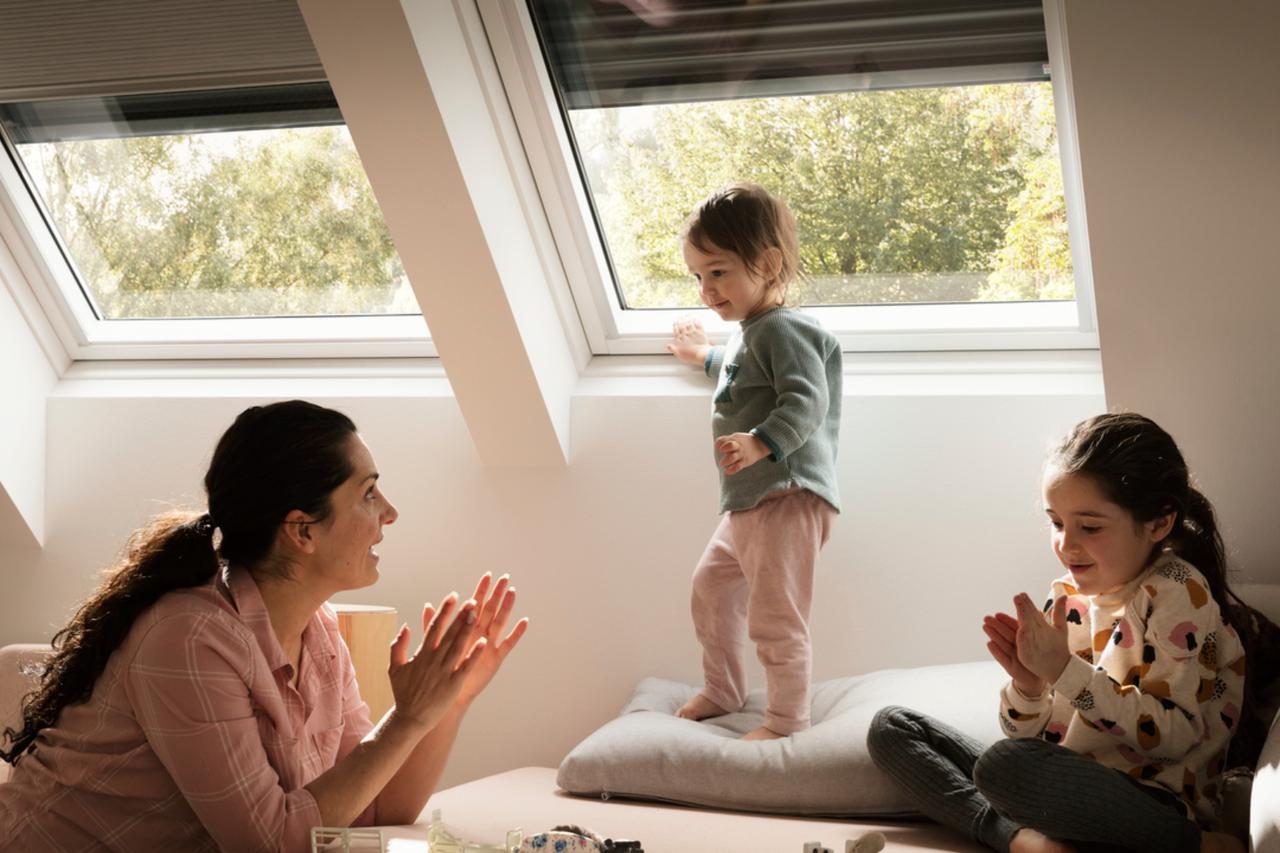 VELUX