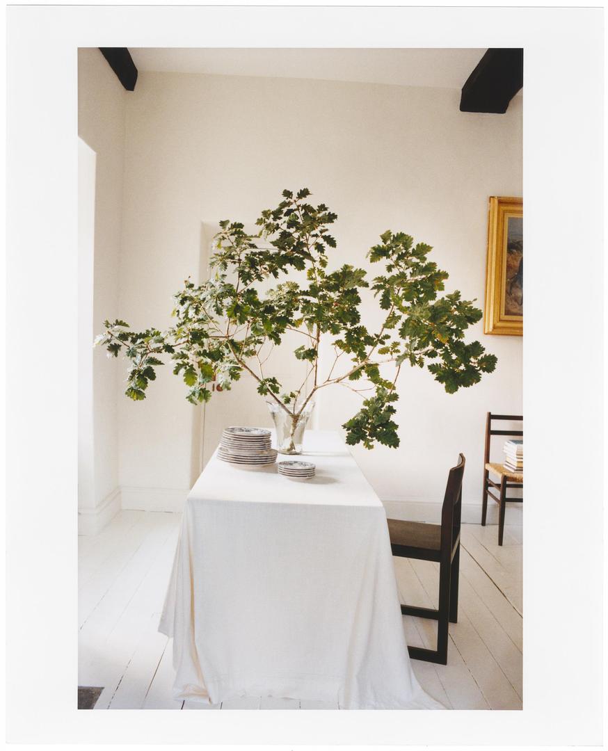 Prirodne dekoracije uvijek su najbolji izbor