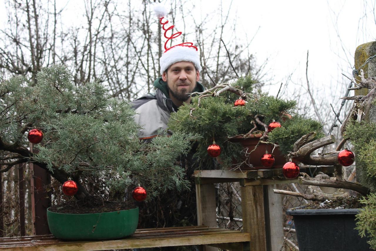 FOTO Zimi bonsai zaštitite od vjetra i niskih temperatura