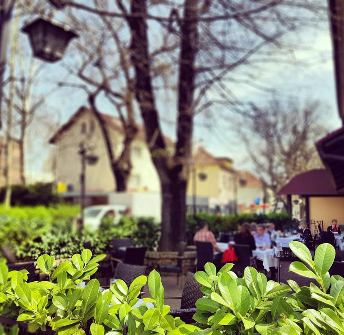 Restoran Bota Šare nalazi se u Zvonimirovoj ulici, u predivnom vrtu koji osigurava prirodni hlad tijekom ljeta. Poznati su po vrhunskim ribljim jelima, a sushi im je, bez lažne skromnosti, jedan od najboljih!
