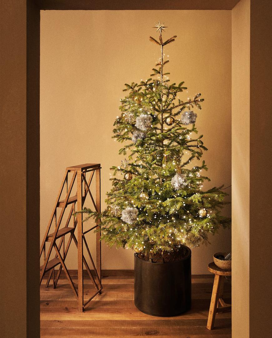 Ove sezone hit su prirodna božična drvca