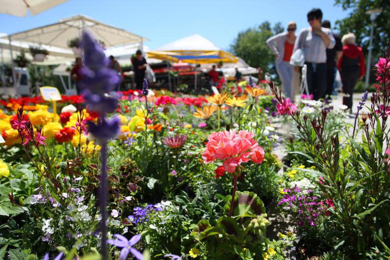 floraart (1)