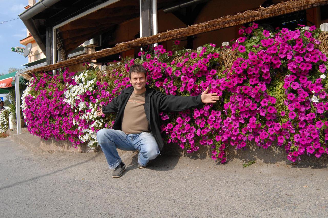 FOTO Živa ograda od surfinija bez daha ostavlja sve prolaznike