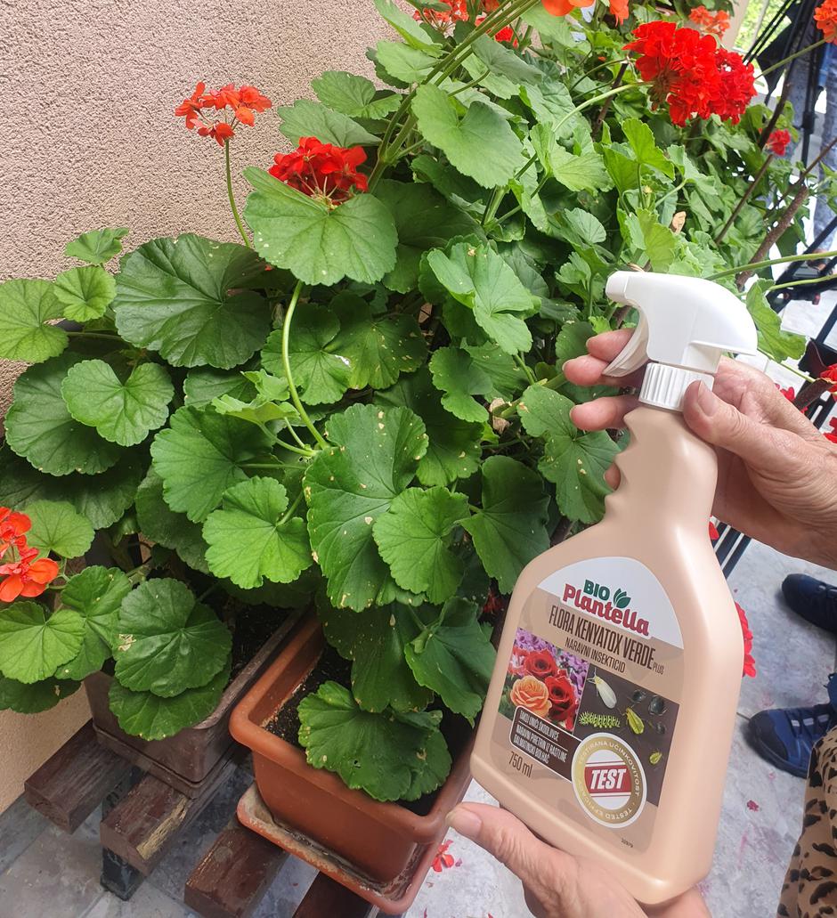Bio Plantella