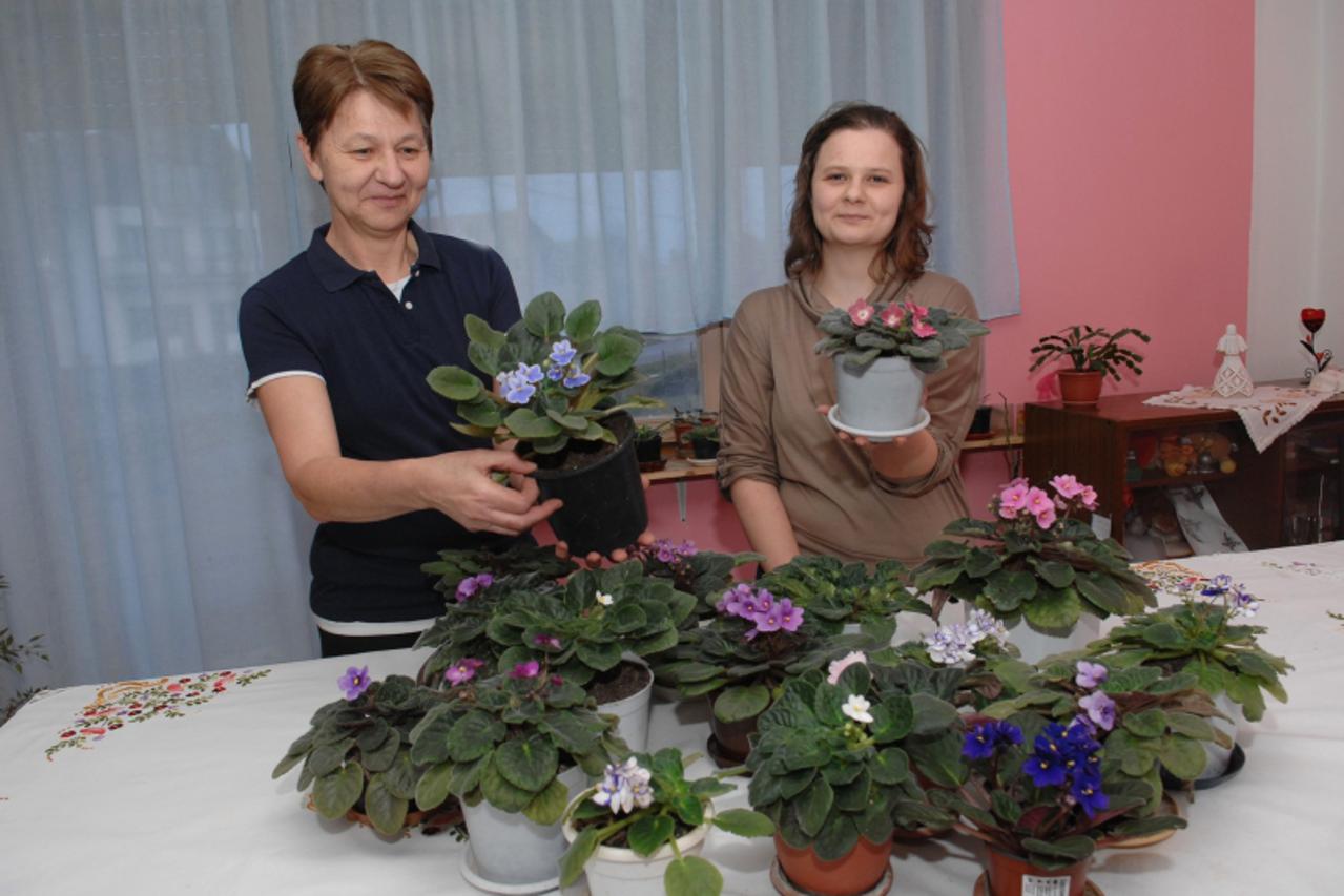 FOTO Zbog afričkih ljepotica kuća obitelji Gibanjek je jedinstvena