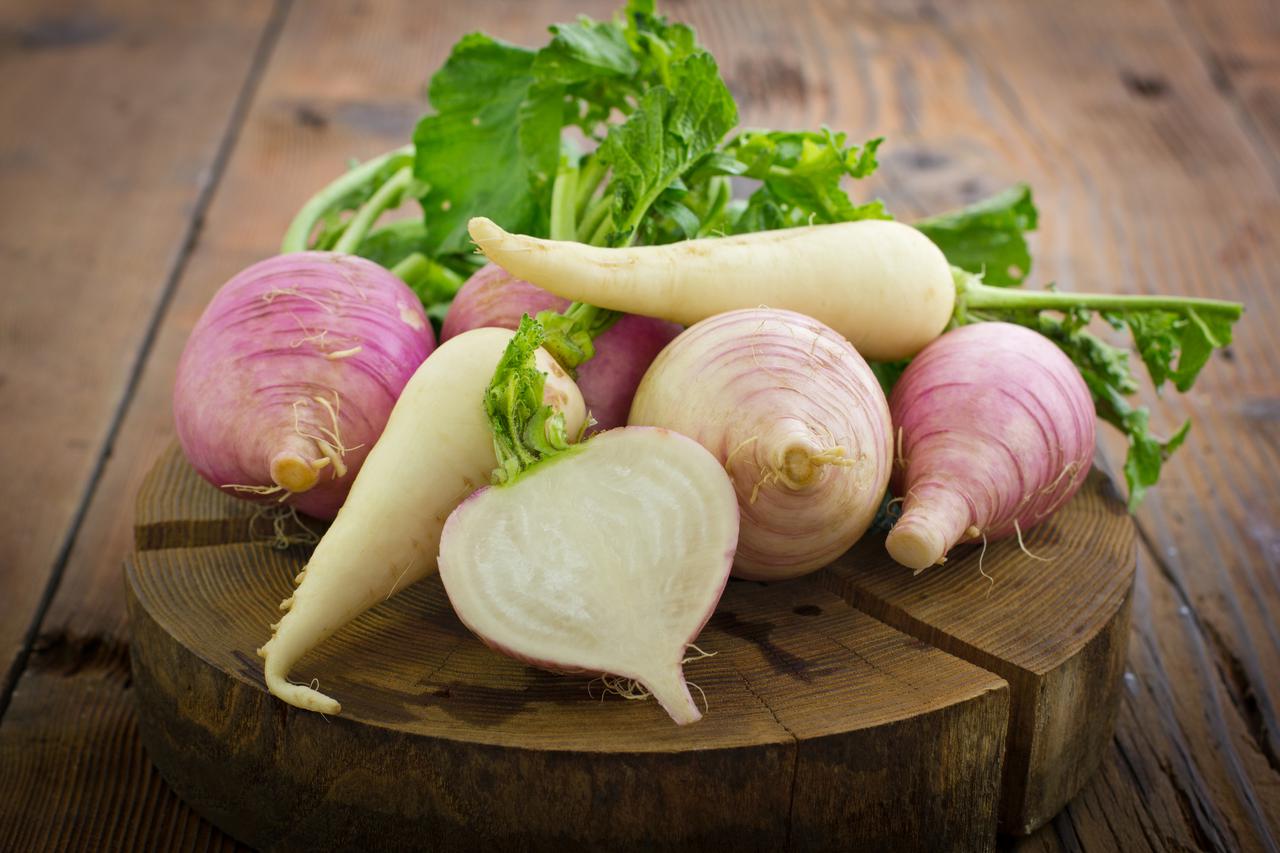 repa daikon crna repa
