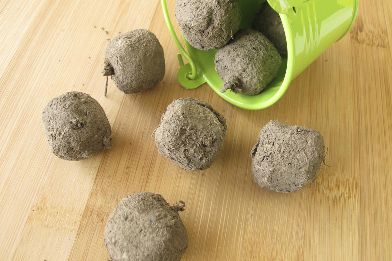 seed ball