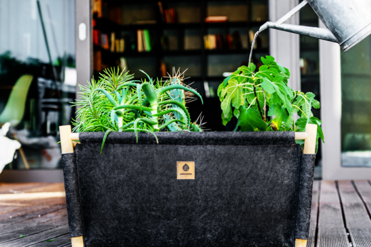 equa home tegle