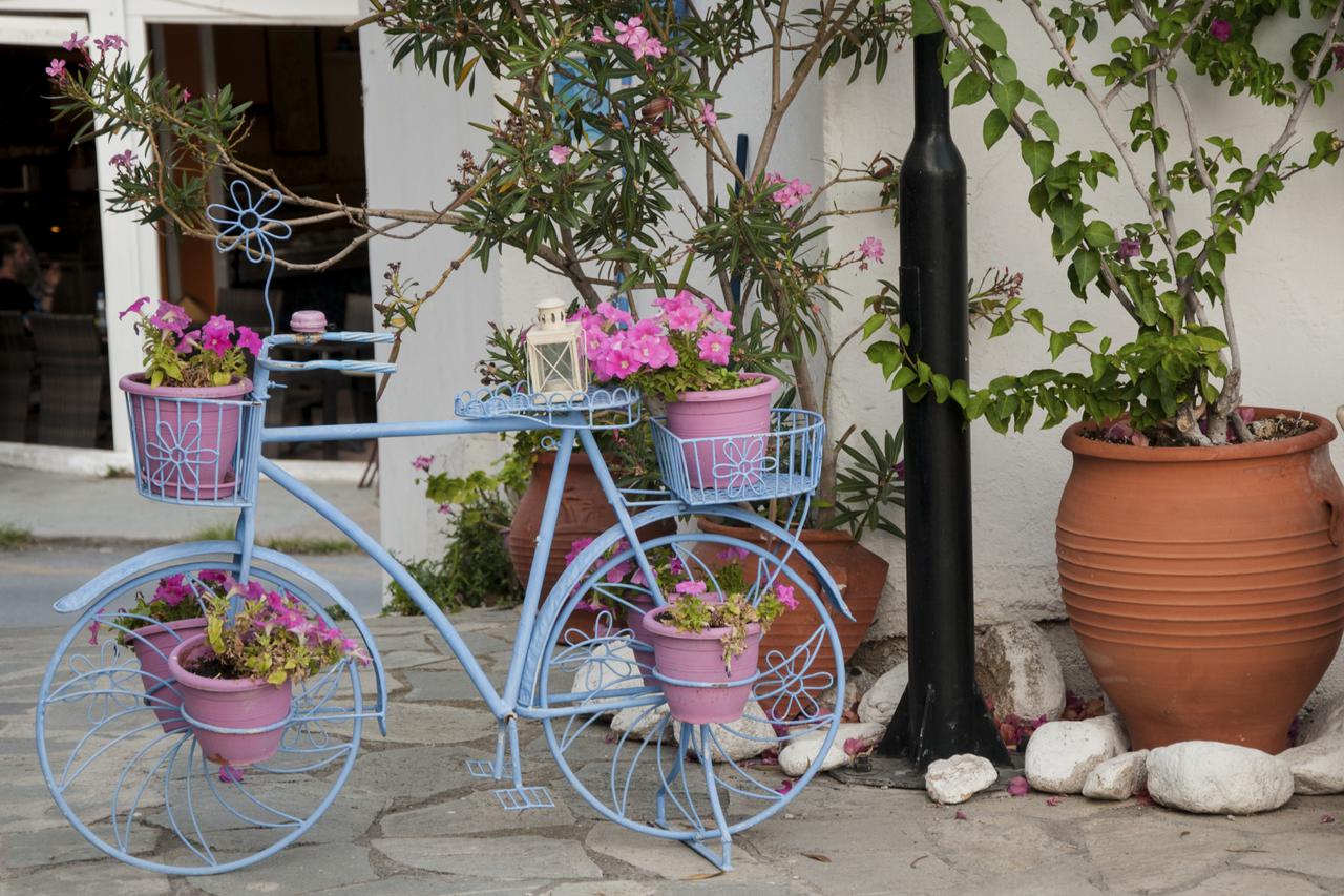 stari bicikli cvijeće
