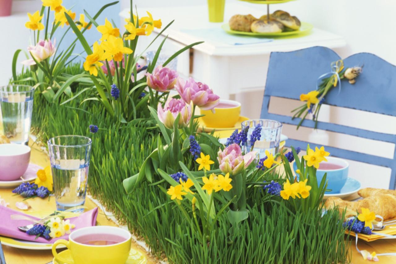 'Spring table with wheat grass, daffodils and tulips'