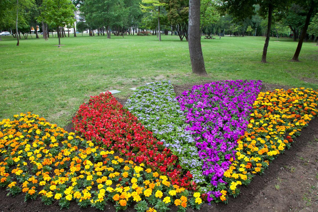 Floraart - posjetite cvjetnu priču na Bundeku