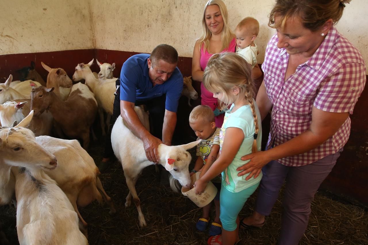 18.07.2016., Gradec Pokupski - OPG Jelene Grcevic bavi se uzgojem koza te preradom i proizvodnjom mlijeka i raznih vrsta kozjih sireva.     Photo: Robert Anic/PIXSELL