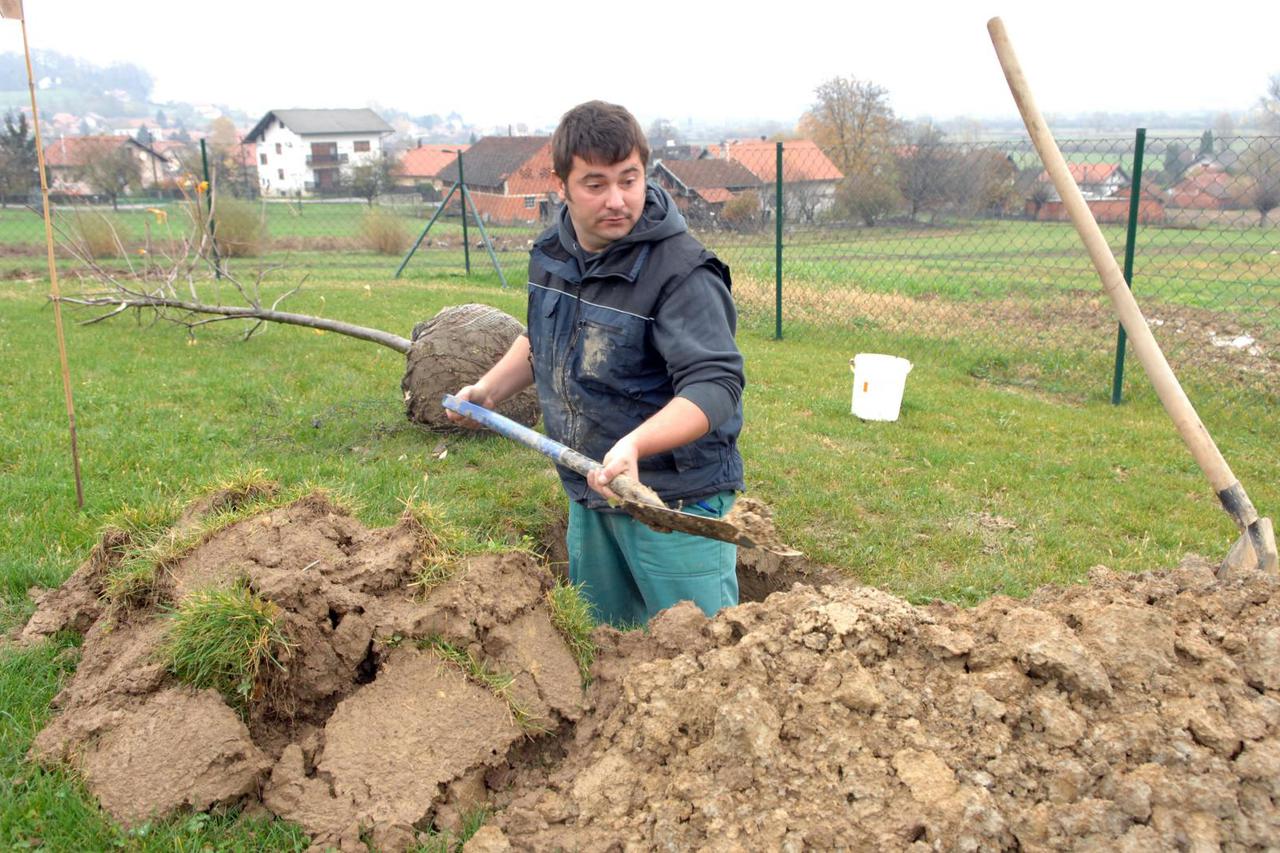 Nervozni ste, boli vas glava, imate visoki tlak? Zasadite nešto!