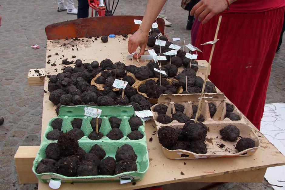 seedballs sjeme