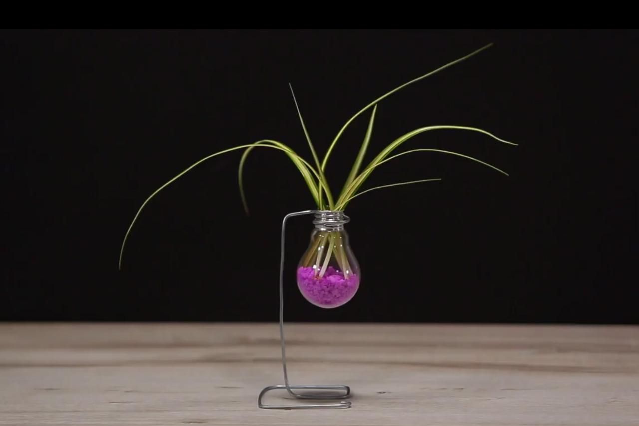 Dobre ideje iz Peveca: Neobična vaza od žarulje i žice