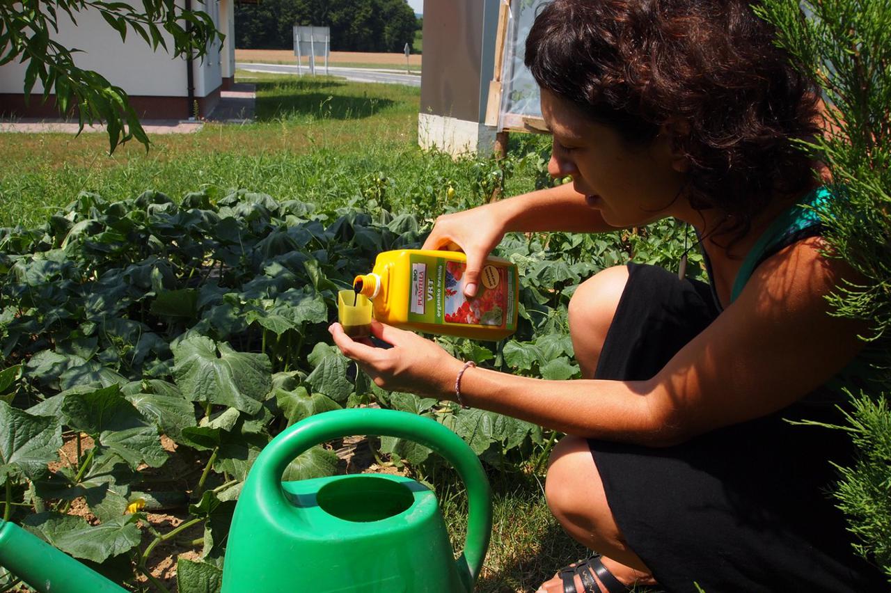 Paprika, rajčice i kupusnjače trebaju što više hraniva