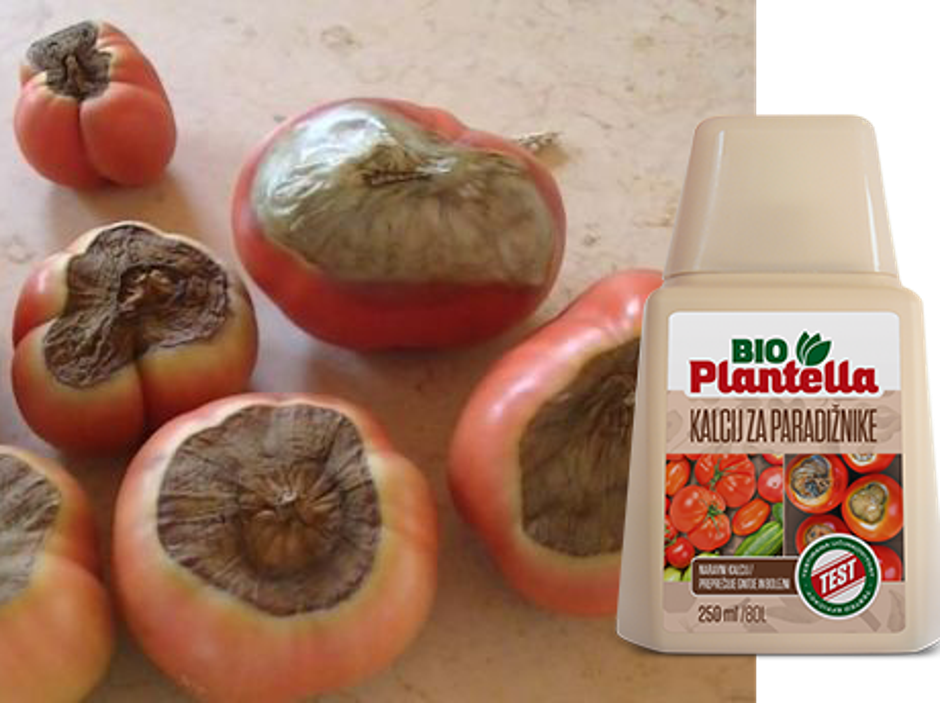 Bio Plantella